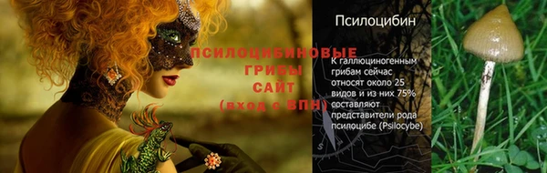 ешки Вяземский